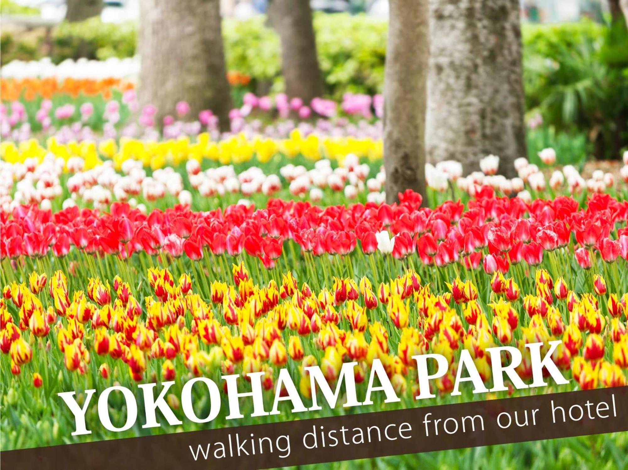 Hotel Balibali 伊勢佐木 Yokohama  Ngoại thất bức ảnh